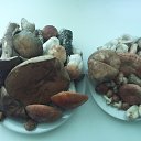 ���� �������, ������������, 51 ��� - ��������� 9 ������� 2024 � ������ ������������