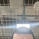 ���� ����, ��������, 44 ���� - ��������� 4 ������ 2026 � ������ ���� ����������