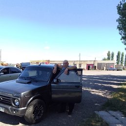 , 54, 
