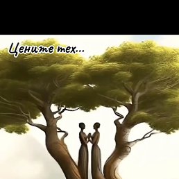 ���, ������, 37 ���