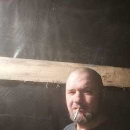 , 41 , 
