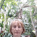 ���� �������, �����-���������, 72 ���� - ��������� 9 ������ 2025