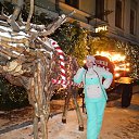 ���� ����, �����, 55 ��� - ��������� 26 ������� 2025 � ������ ���� ����������