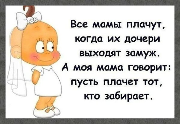 ☆ ☆ - 27  2025  08:43