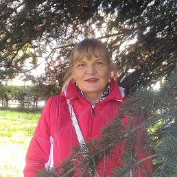 ����, �����������