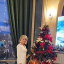 ���� �������� ����, ������, 38 ��� - ��������� 7 ������ 2026 � ������ ���� ����������