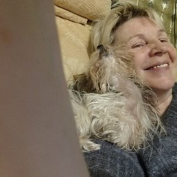 , 62, 