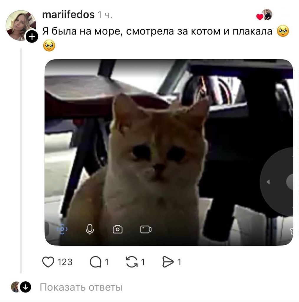JPG - 16 ����� 2026 � 13:44 - 6