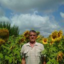 ���� ������, ������, 67 ��� - ��������� 31 ������� 2025 � ������ ���� ����������