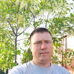 �������, ������, 39 ���