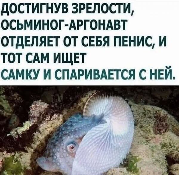 :)