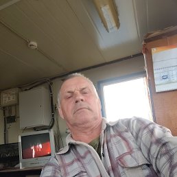 , 55, 