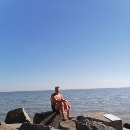 ����, ���������, 65 ���