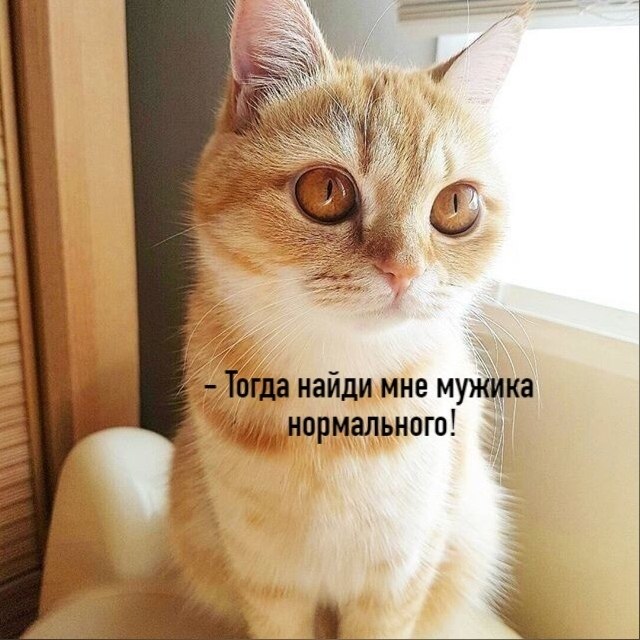 ��� ���� � ����� �� �� - 1 ���� 2026 � 15:02 - 3