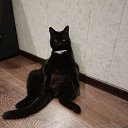 ���� ����, �������������� - ��������� 29 ������� 2023 � ������ ���� ����������