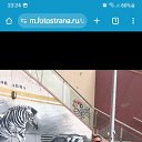 ���� ��������, ���������, 55 ��� - ��������� 17 ��� 2025 � ������ ���� ����������