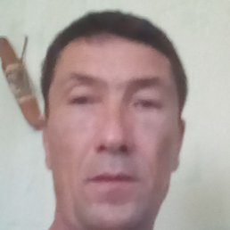 ����, ��������, 48 ���