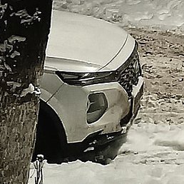 ������, ������, 53 ����