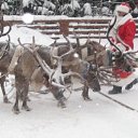 ���� ����, ������, 39 ��� - ��������� 1 ������ 2024 � ������ ���� ����������