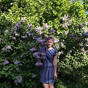 ���� ����, ������, 33 ���� - ��������� 19 ��� 2026 � ������ ������ ��������