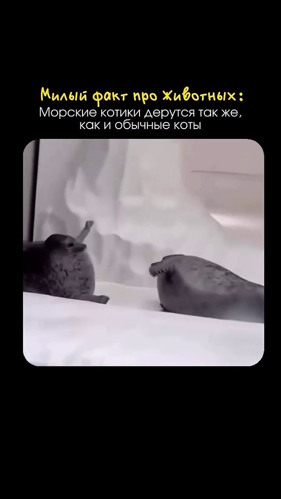������� ������: �������� � ������ �����! - 2