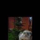 ���� ������, ��������, 45 ��� - ��������� 2 ������ 2026 � ������ ���� ����������