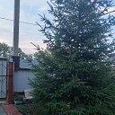 ���� ������, �����������, 52 ���� - ��������� 21 ������ 2024