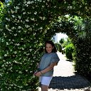 ���� ����, �����-��������� - ��������� 26 ����� 2026