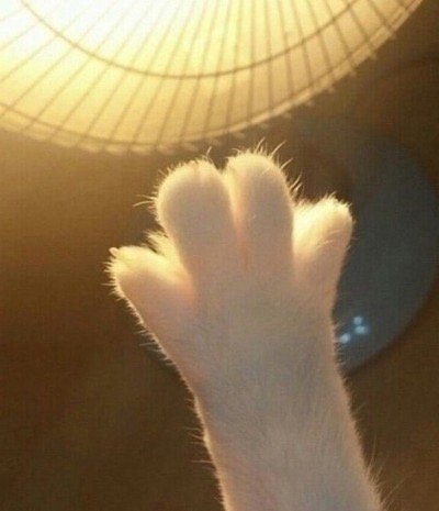    ,  !