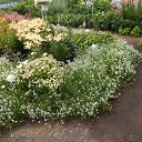 ���� ������, ������, 71 ��� - ��������� 24 ������ 2024 � ������ ���� ����������