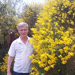 ���� ������, �������, 58 ��� - ��������� 30 ������ 2026