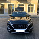 ���� Alfonso, �����-���������, 39 ��� - ��������� 3 ������ 2024 � ������ ���� ����������