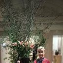 ���� �����, �����-��������� - ��������� 8 ���� 2025 � ������ ���� ����������