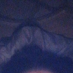 ���� ����, ����, 41 ��� - ��������� 21 ������� 2025