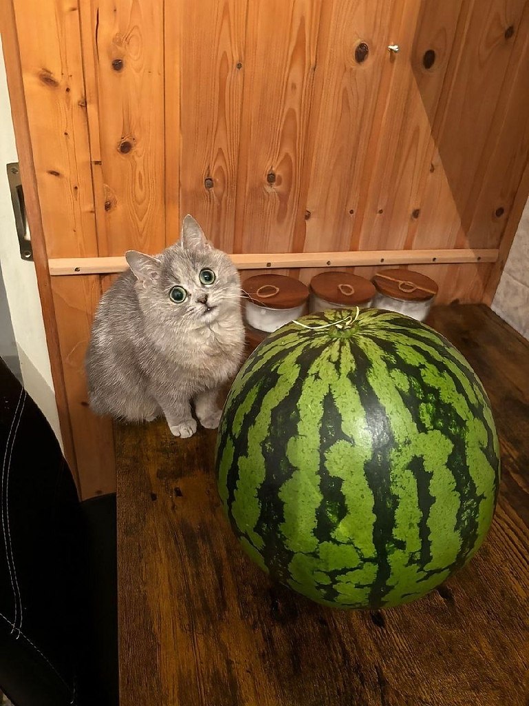 ,           - 9