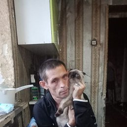 ������, �����, 44 ����