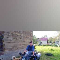 ������, ������, 43 ����