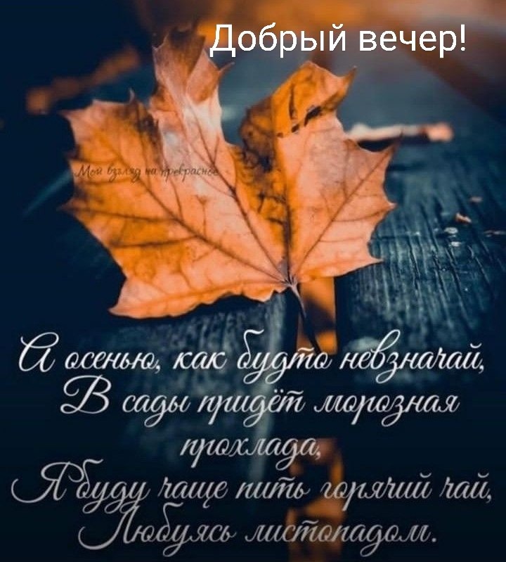   ,    . - 28  2025  16:04