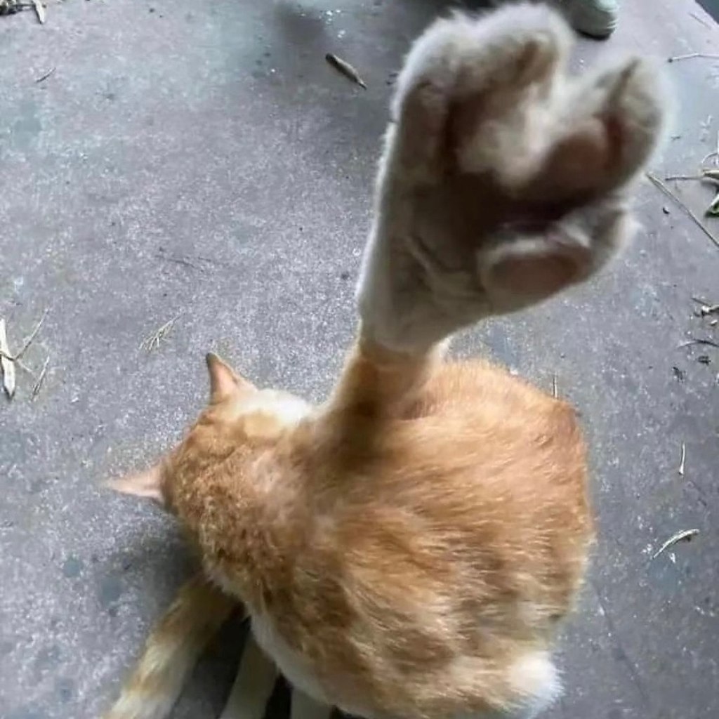 ������-��� ������) - 6