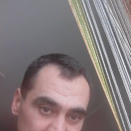  , , 51  -  29  2025