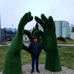 ���������, 56 ���, ����