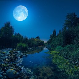 ���� ��������, ��������, 52 ���� - ��������� 21 ������ 2025