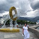 ���� �������, ������, 66 ��� - ��������� 14 ������ 2026