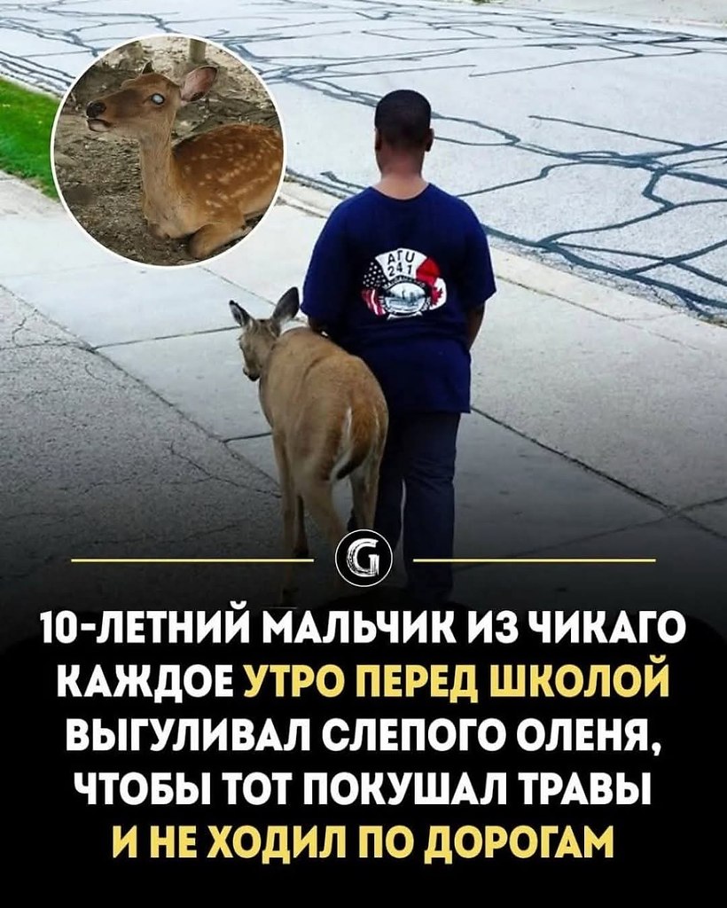 ��� ��� �������� ��������� ������ � ��� ������� ����, ��� ��������, ��� �� �����. � ��������� ...