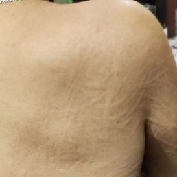 ������ ����������, ����, 47 ���