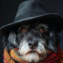 ���� ���, ������, 53 ���� - ��������� 9 ����� 2025 � ������ �������� �������