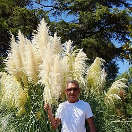 ���� ����, ���������, 60 ��� - ��������� 14 ����� 2025