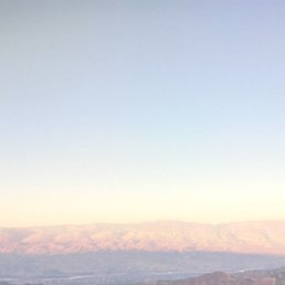 �����, ������, 35 ���