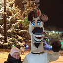 ���� ������, ������ ����� - ��������� 5 ������� 2026 � ������ �������