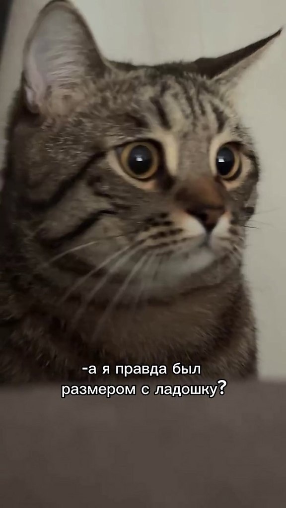� � ��� ���� ���� �������� 